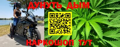 индика Краснознаменск