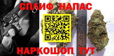 индика Краснознаменск