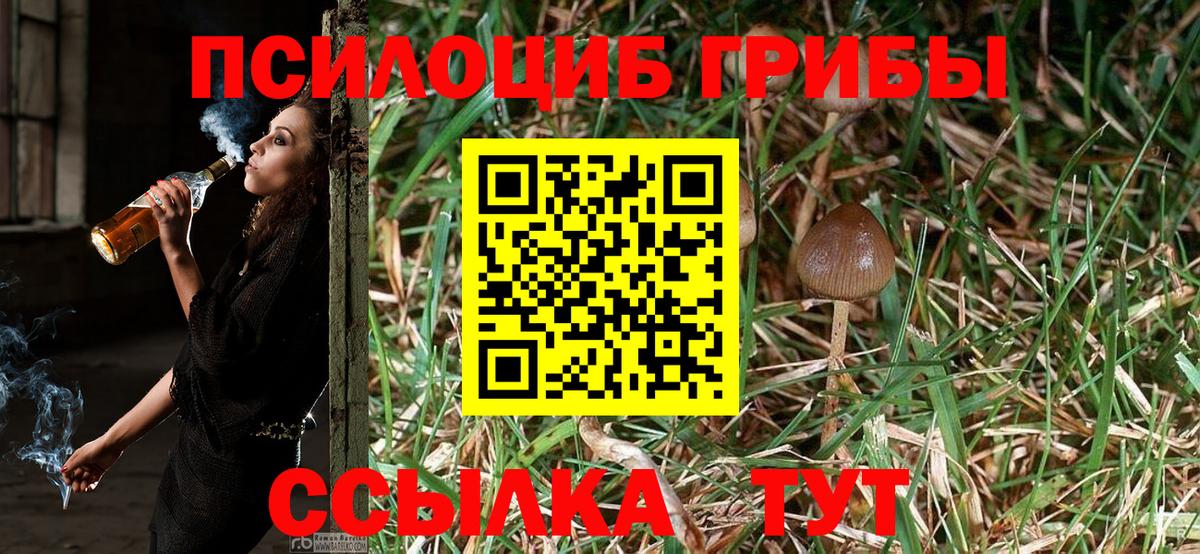 Галлюциногенные грибы Cubensis Избербаш